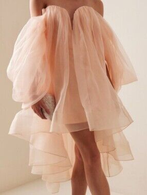 Zimmermann Crush Peach Strapless Mini Dress